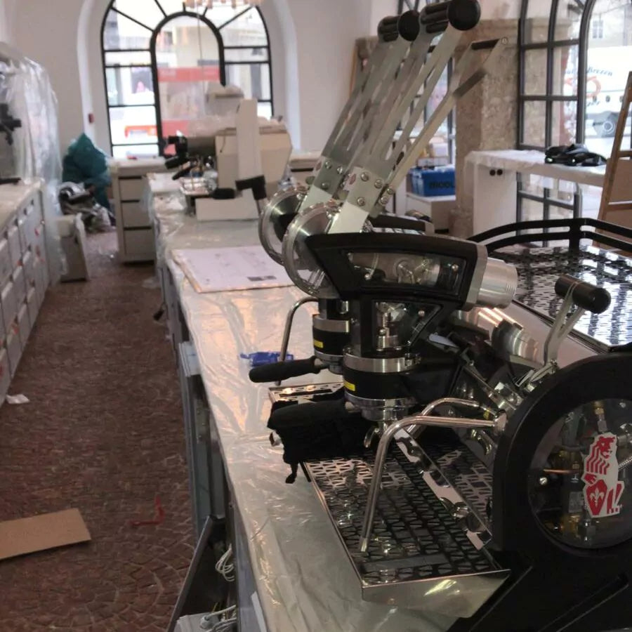 Die Löwinnen kommen!