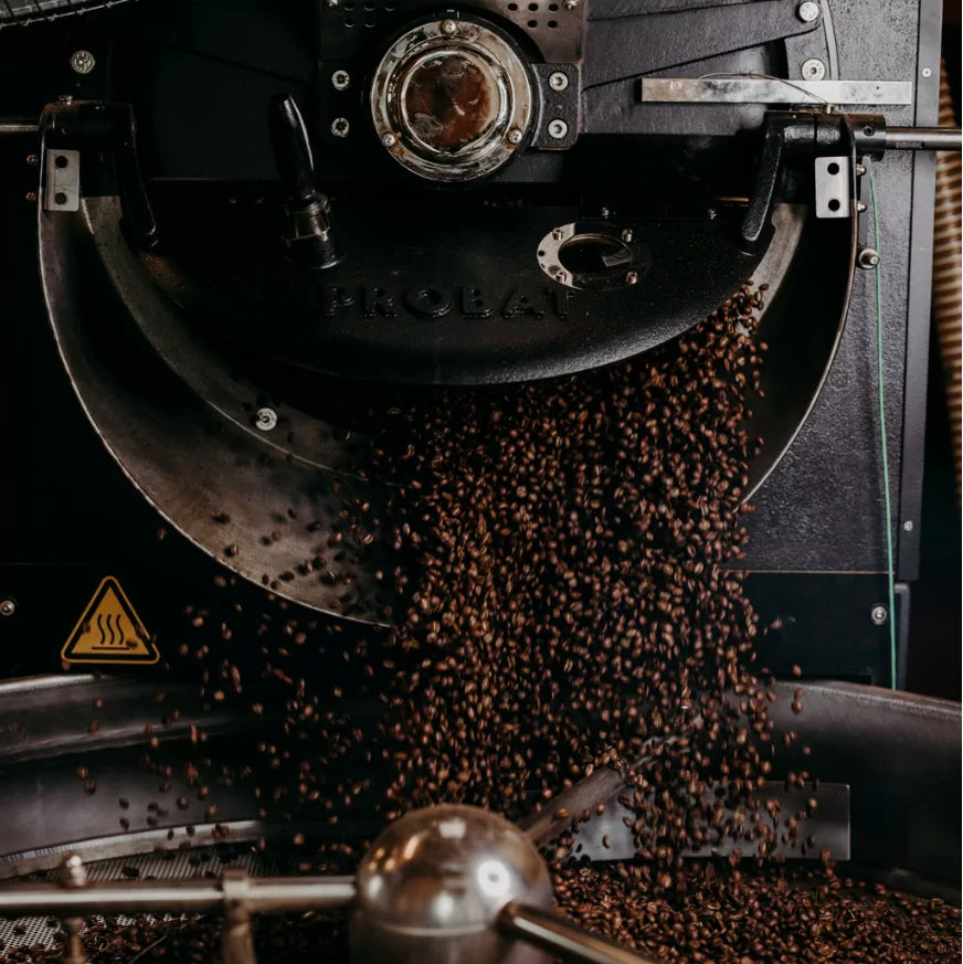 Faktencheck: Röstdatum